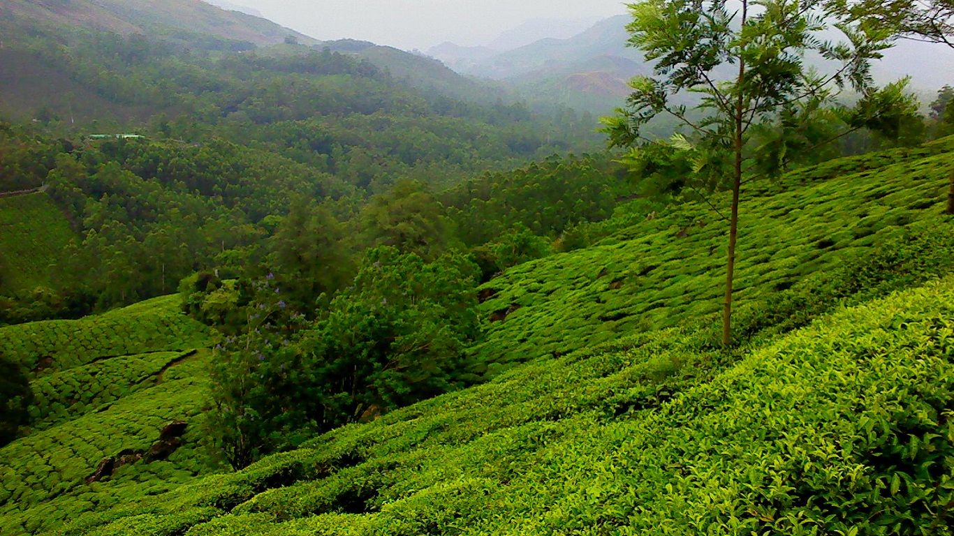 Munnar (Kerala) Outstation Cab Hire Services