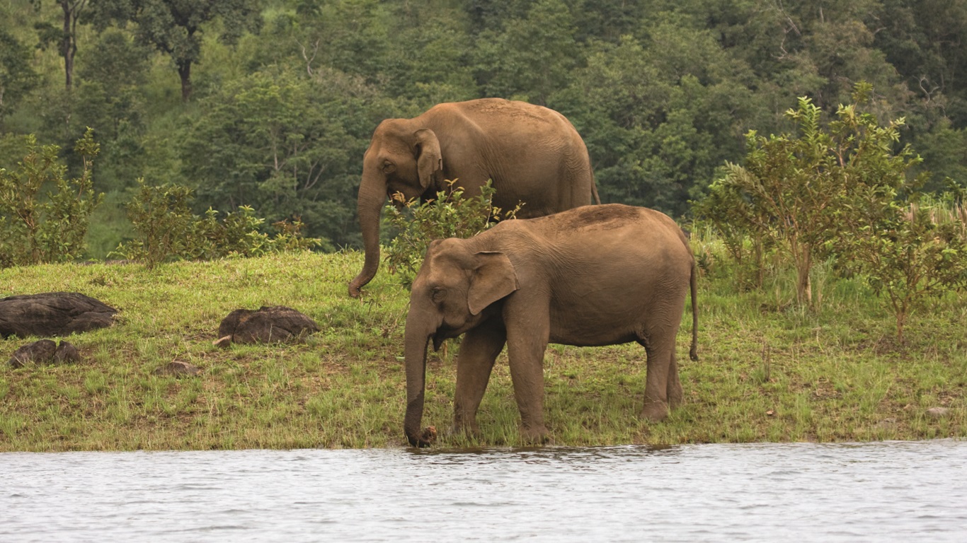 Thekkady Outstation Cab Services